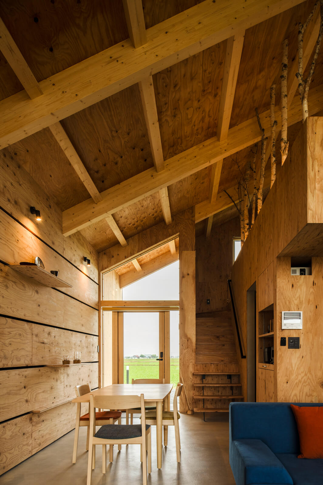 南側の壁面は24㎜の針葉樹合板を使用し、奥行きを利用して可動棚を設置。「町内外で活躍するアーティストの作品や、愛犬のアフターケアプロショップを営むアーケンのお施主様にご協力をいただいて、愛犬グッズなどを飾っています」と貴洋さん。ガラスの玄関扉からは夕陽を望むことができる